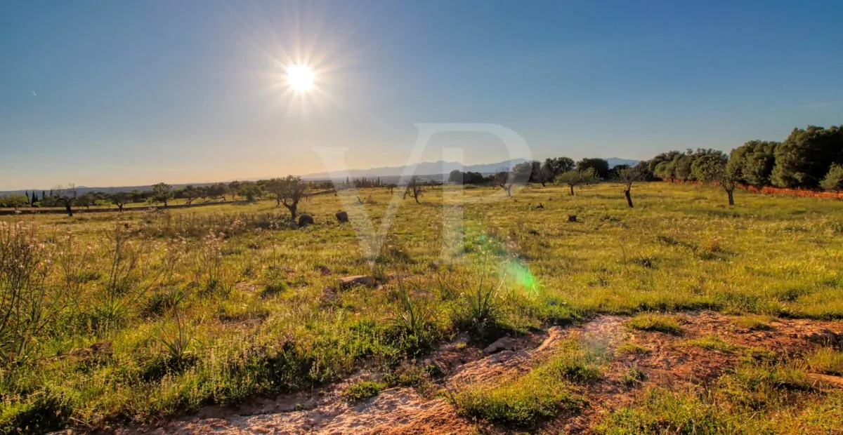 fantastisches-landhaus-in-hervorragender-lage-in-manacor-in-der-sierra-de-llevant
