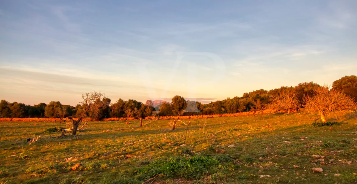 fantastisches-landhaus-in-hervorragender-lage-in-manacor-in-der-sierra-de-llevant