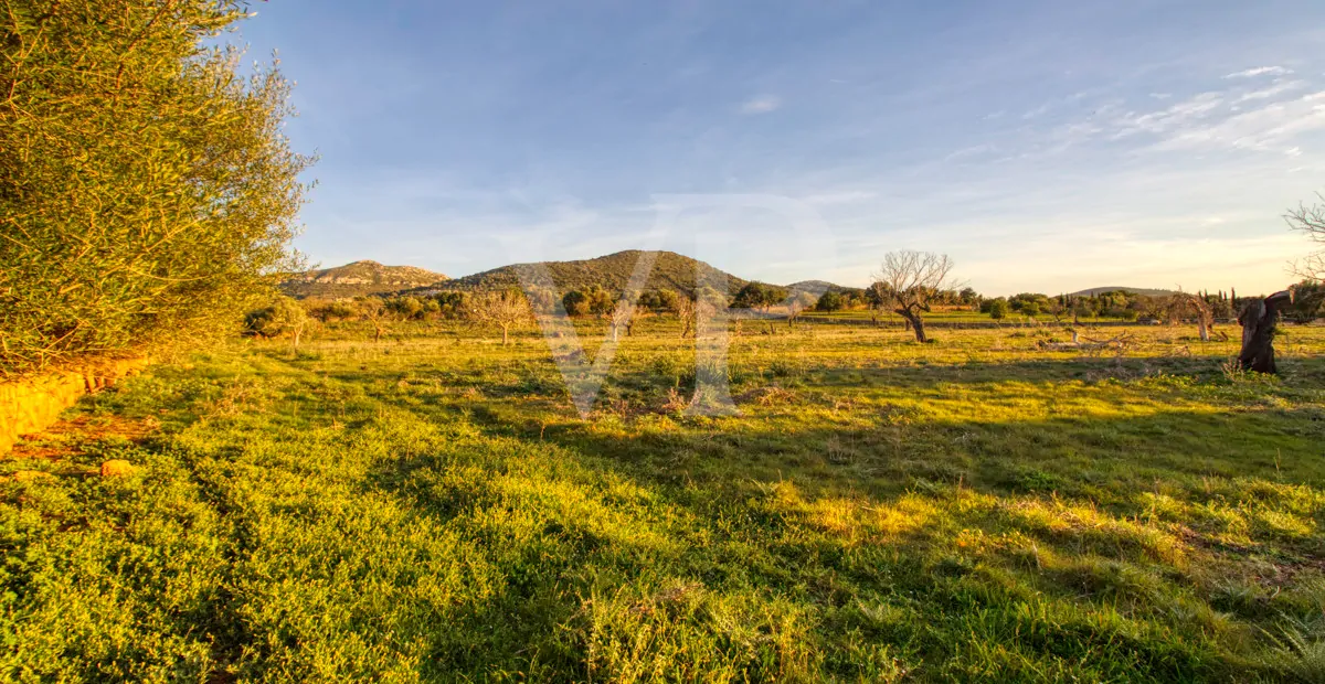 fantastisches-landhaus-in-hervorragender-lage-in-manacor-in-der-sierra-de-llevant