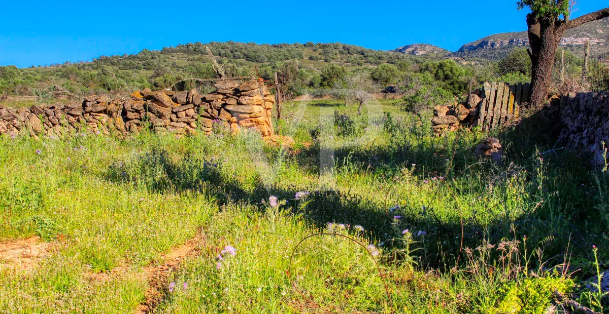 fantastisches-landhaus-in-hervorragender-lage-in-manacor-in-der-sierra-de-llevant