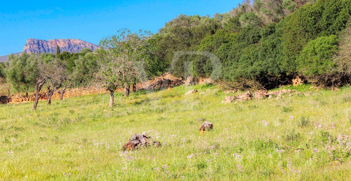 fantastisches-landhaus-in-hervorragender-lage-in-manacor-in-der-sierra-de-llevant