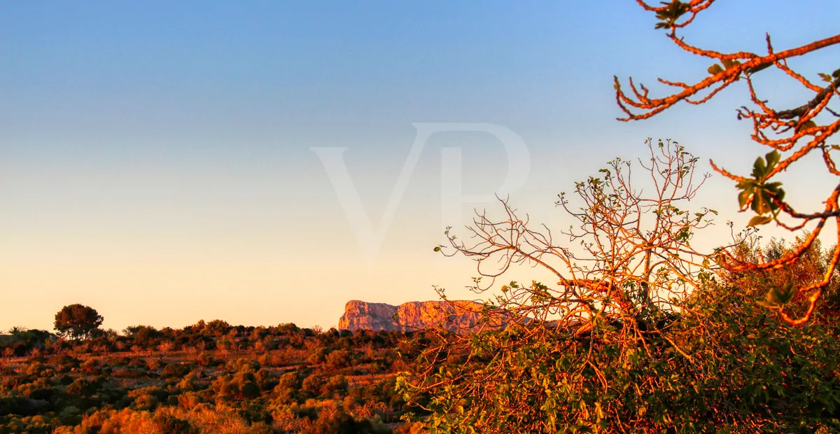fantastisches-landhaus-in-hervorragender-lage-in-manacor-in-der-sierra-de-llevant
