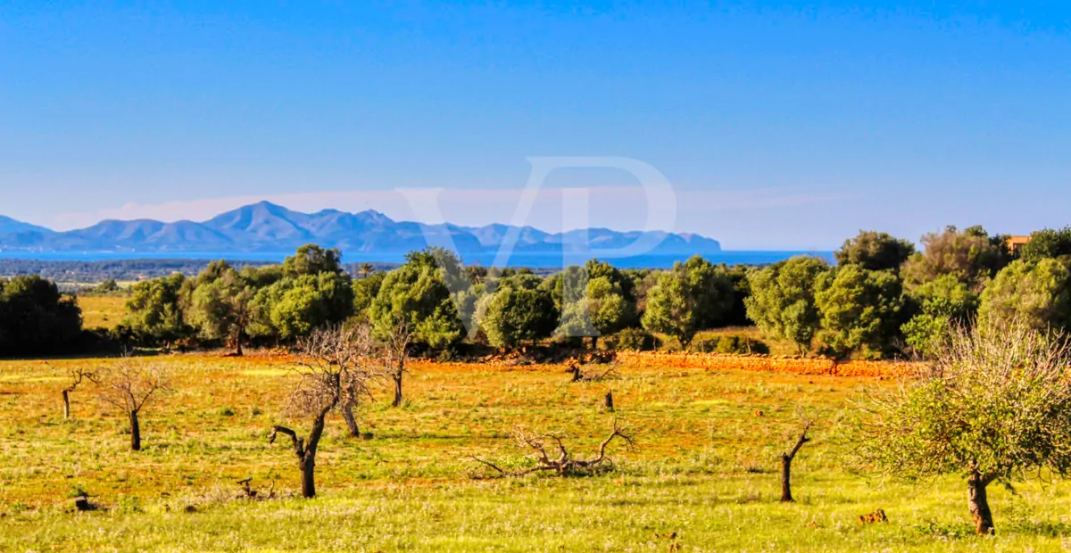 fantastisches-landhaus-in-hervorragender-lage-in-manacor-in-der-sierra-de-llevant