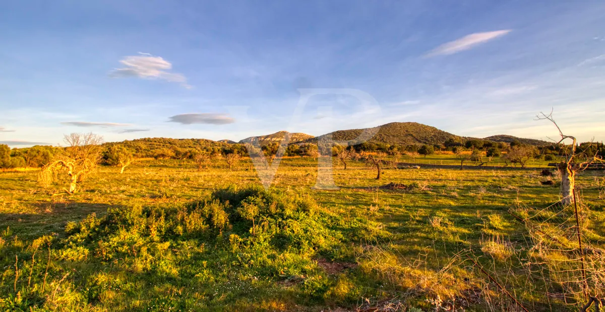 fantastisches-landhaus-in-hervorragender-lage-in-manacor-in-der-sierra-de-llevant