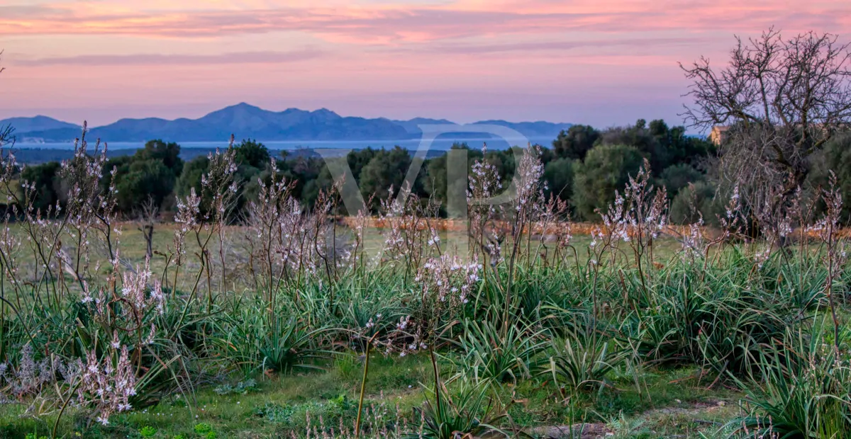 fantastisches-landhaus-in-hervorragender-lage-in-manacor-in-der-sierra-de-llevant