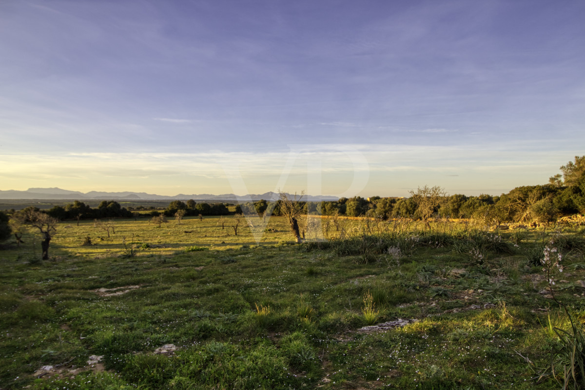fantástica-rústica-con-una-excelente-ubicación-en-manacor-en-la-sierra-de-llevant