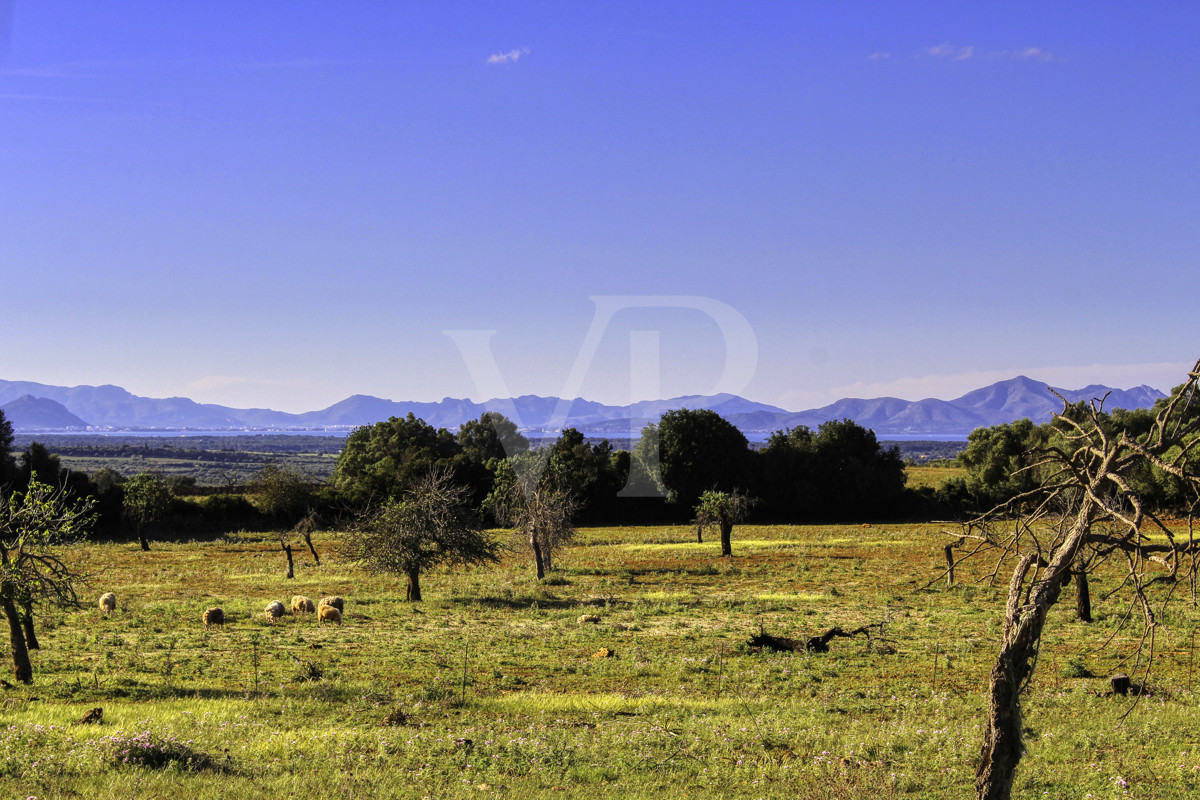 fantástica-rústica-con-una-excelente-ubicación-en-manacor-en-la-sierra-de-llevant
