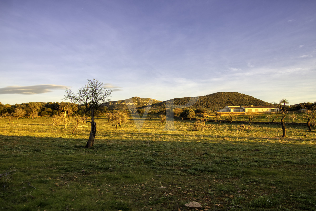 fantástica-rústica-con-una-excelente-ubicación-en-manacor-en-la-sierra-de-llevant