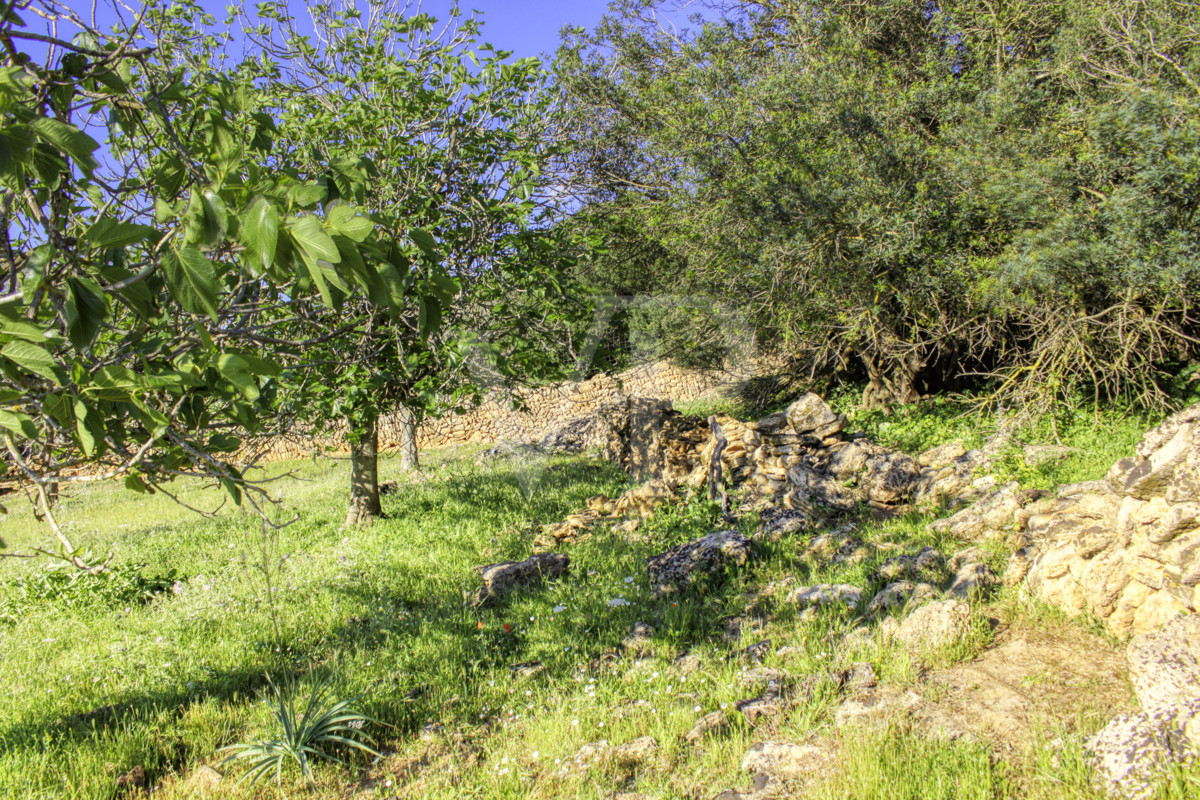 fantástica-rústica-con-una-excelente-ubicación-en-manacor-en-la-sierra-de-llevant