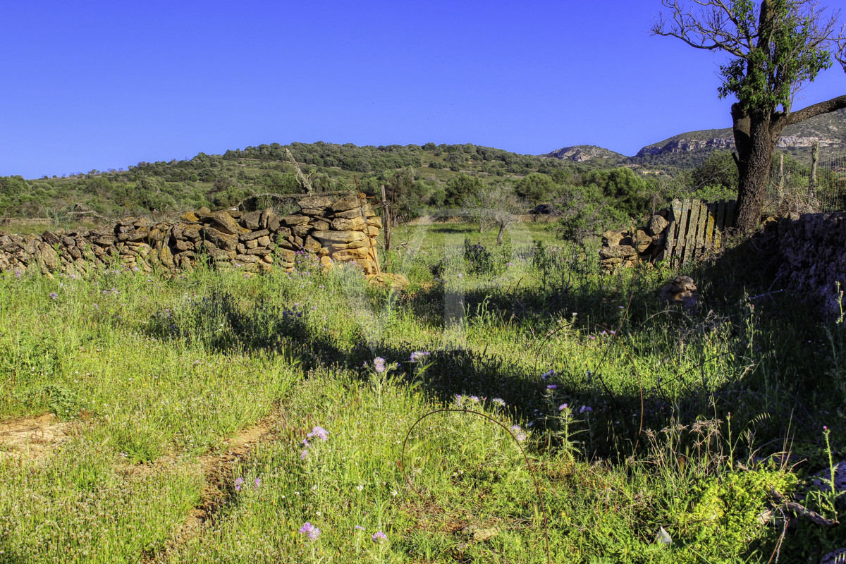 fantástica-rústica-con-una-excelente-ubicación-en-manacor-en-la-sierra-de-llevant