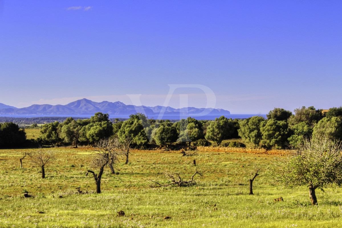 fantástica-rústica-con-una-excelente-ubicación-en-manacor-en-la-sierra-de-llevant