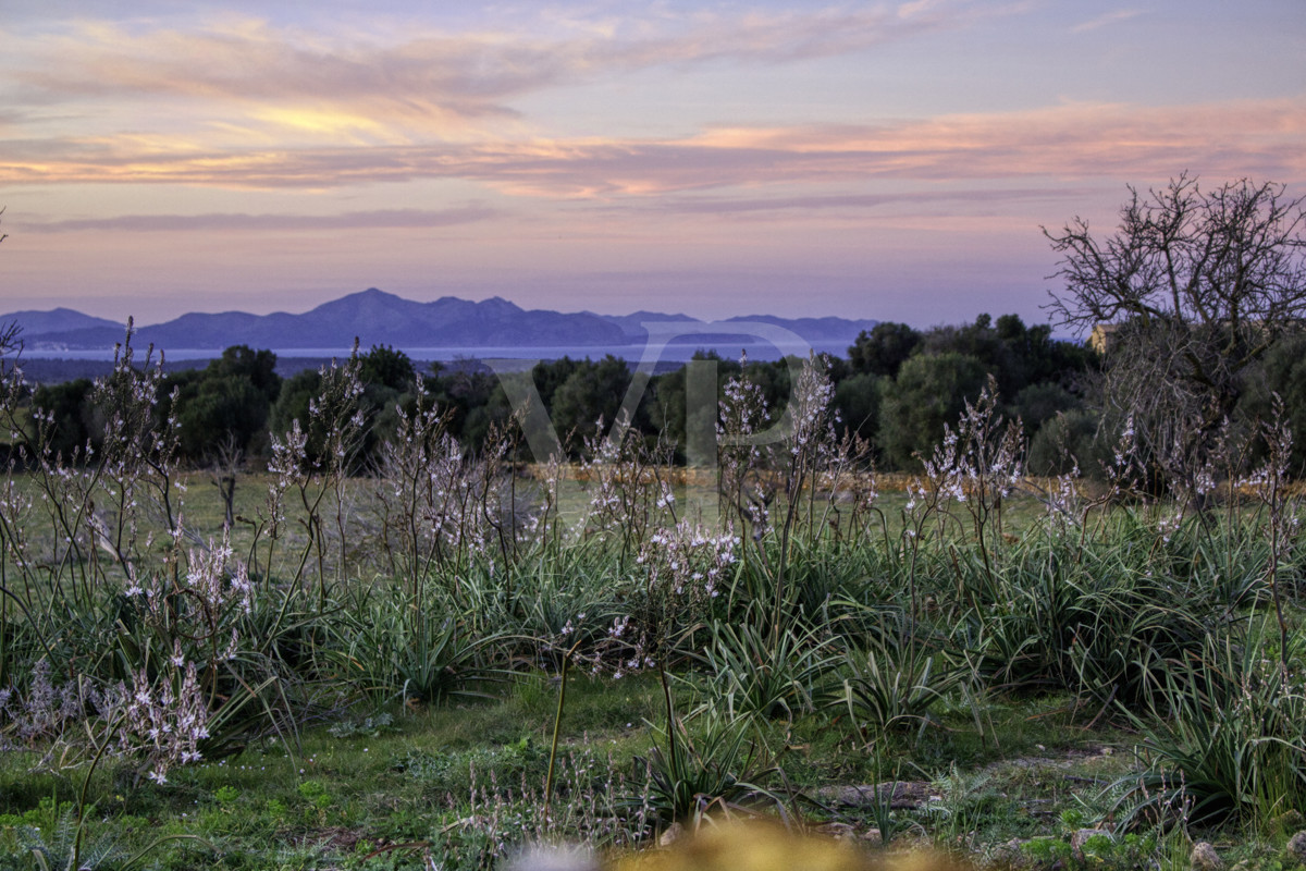 fantástica-rústica-con-una-excelente-ubicación-en-manacor-en-la-sierra-de-llevant