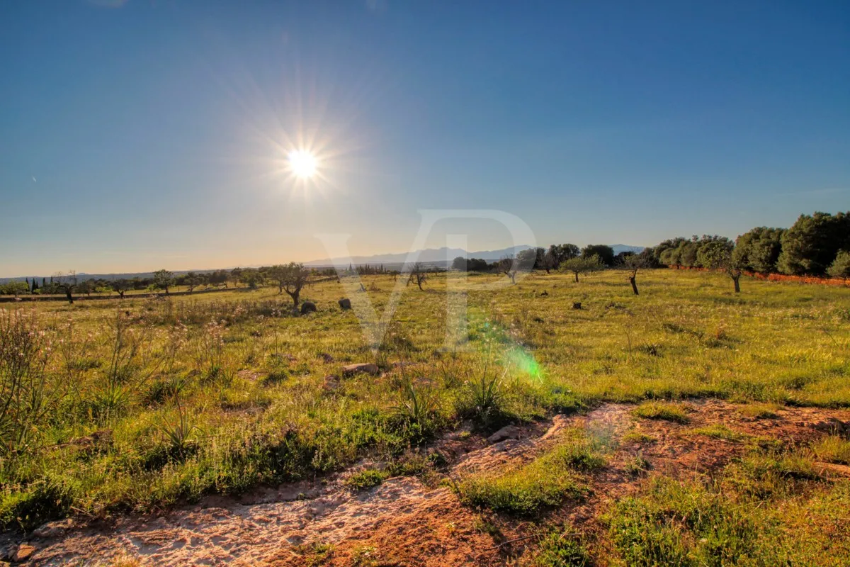 fantastico-rustico-con-un-eccellente-posizione-a-manacor-nella-sierra-de-llevant