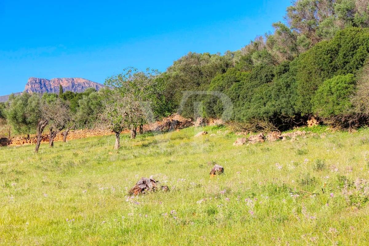 fantastico-rustico-con-un-eccellente-posizione-a-manacor-nella-sierra-de-llevant