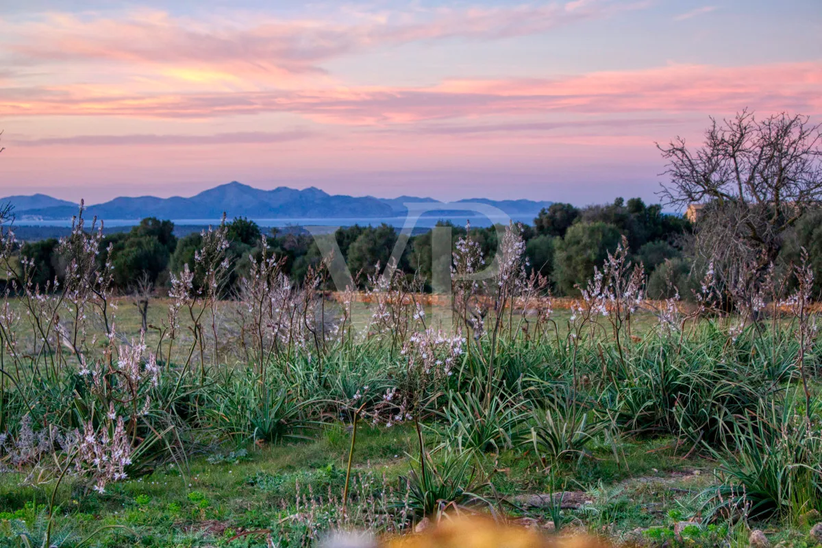 fantastico-rustico-con-un-eccellente-posizione-a-manacor-nella-sierra-de-llevant
