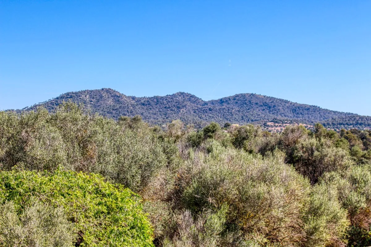 fantastico-possesso-storico-finca-risalente-al-1834-in-sant-llorenç-des-cardassar-con-possibilità-di-licenza-per-un-piccolo-investimento-rurale-hotel