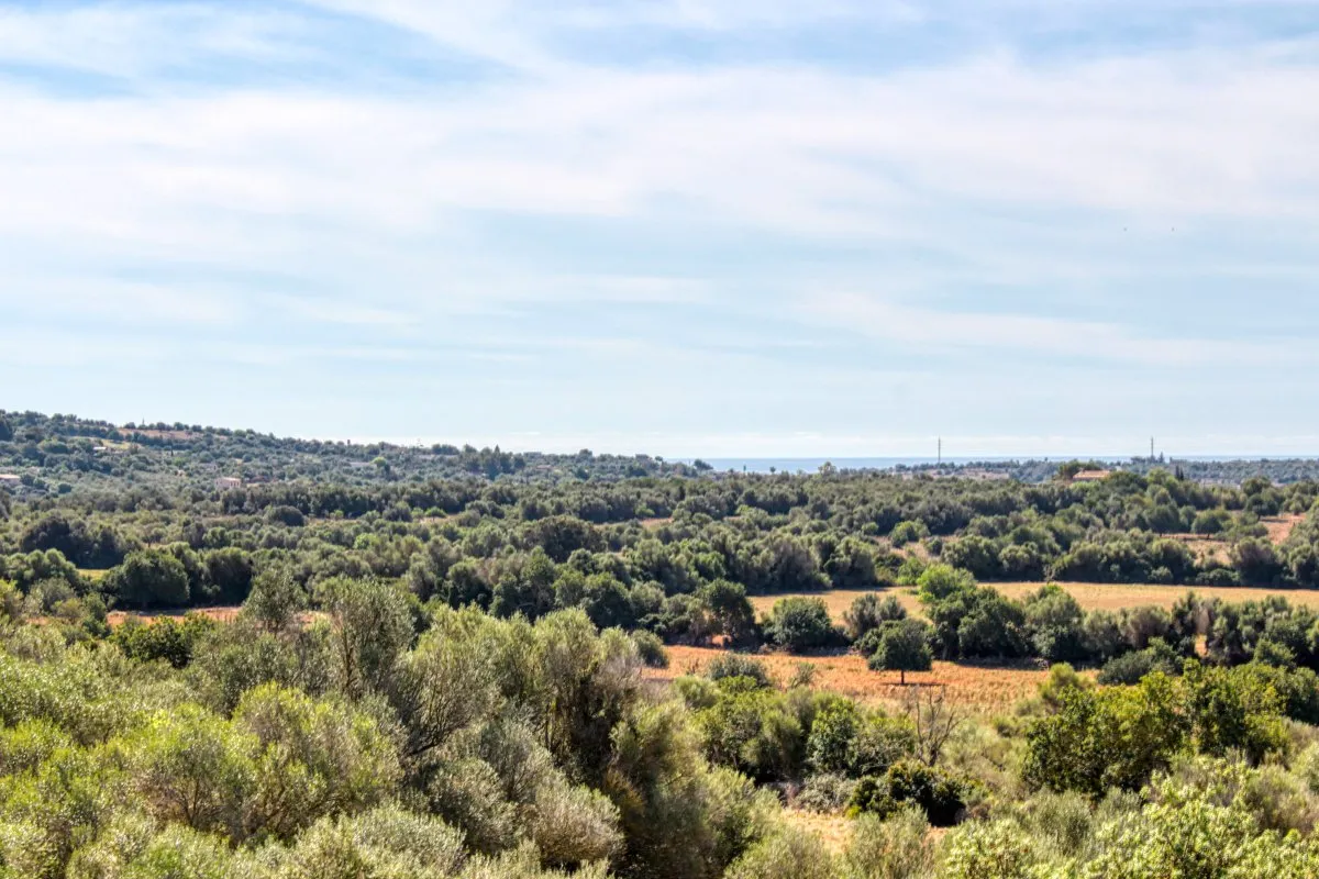 fantastico-possesso-storico-finca-risalente-al-1834-in-sant-llorenç-des-cardassar-con-possibilità-di-licenza-per-un-piccolo-investimento-rurale-hotel