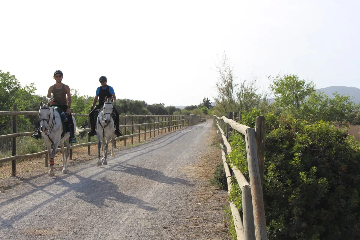 fantastico-possesso-storico-finca-risalente-al-1834-in-sant-llorenç-des-cardassar-con-possibilità-di-licenza-per-un-piccolo-investimento-rurale-hotel