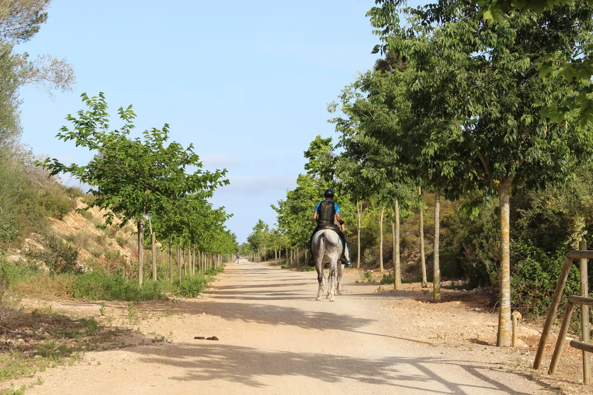 fantastico-possesso-storico-finca-risalente-al-1834-in-sant-llorenç-des-cardassar-con-possibilità-di-licenza-per-un-piccolo-investimento-rurale-hotel