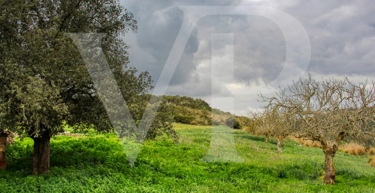 Spektakuläre Finca mit fantastischem mallorquinischem Haus auf einem Hügel in Manacor