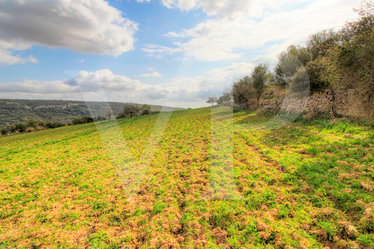 Spektakuläre Finca mit fantastischem mallorquinischem Haus auf einem Hügel in Manacor