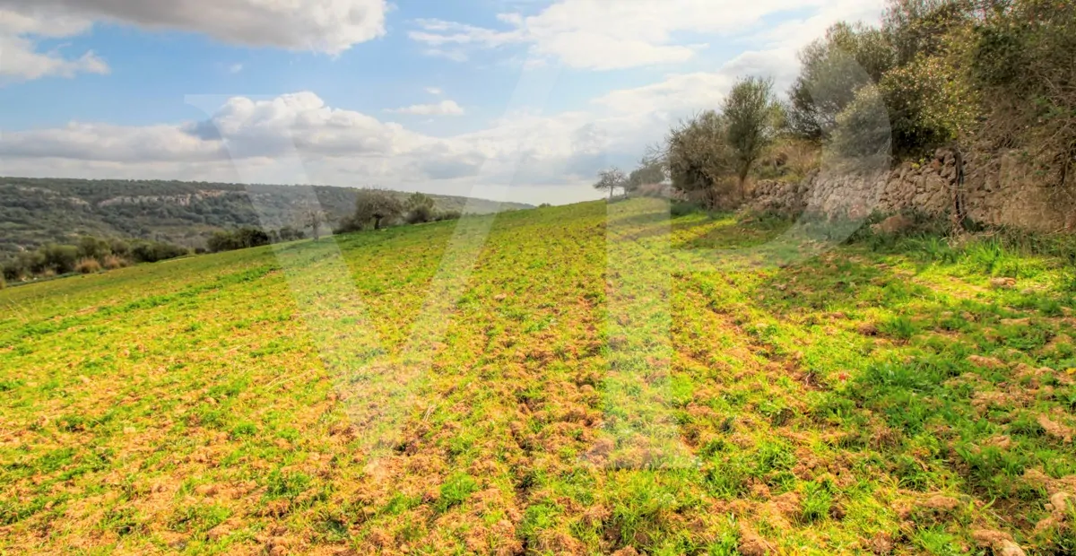 Spektakuläre Finca mit fantastischem mallorquinischem Haus auf einem Hügel in Manacor