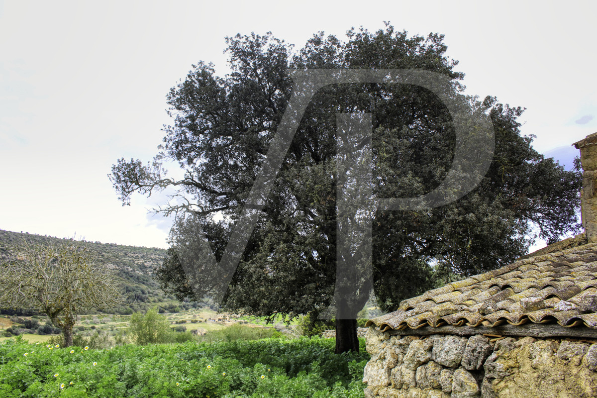 Spektakuläre Finca mit fantastischem mallorquinischem Haus auf einem Hügel in Manacor