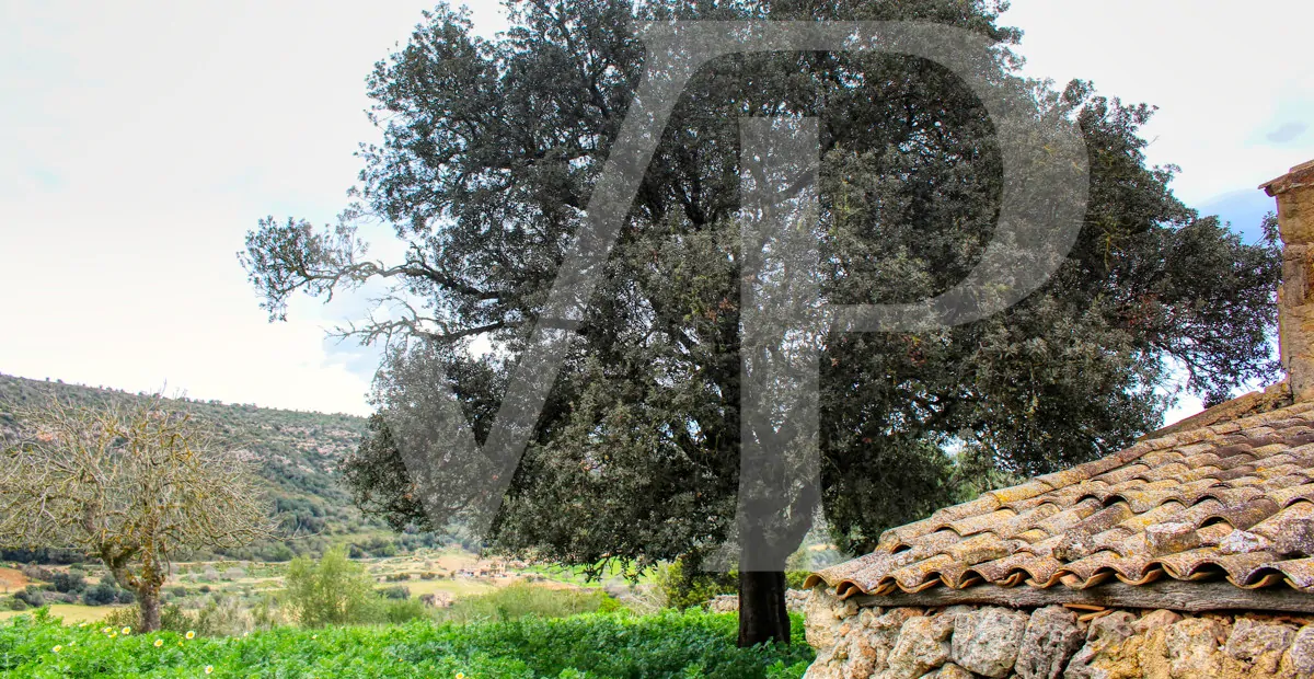 Spektakuläre Finca mit fantastischem mallorquinischem Haus auf einem Hügel in Manacor