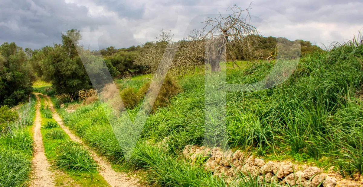 Spektakuläre Finca mit fantastischem mallorquinischem Haus auf einem Hügel in Manacor