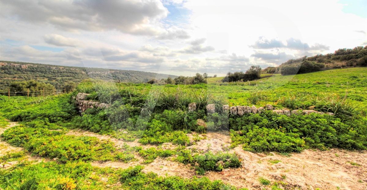 Spektakuläre Finca mit fantastischem mallorquinischem Haus auf einem Hügel in Manacor