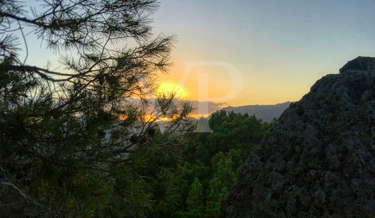 schöne-mallorquinische-finca-mit-ETV-in-fantastischer-lage-in-pollença-zu-verkaufen
