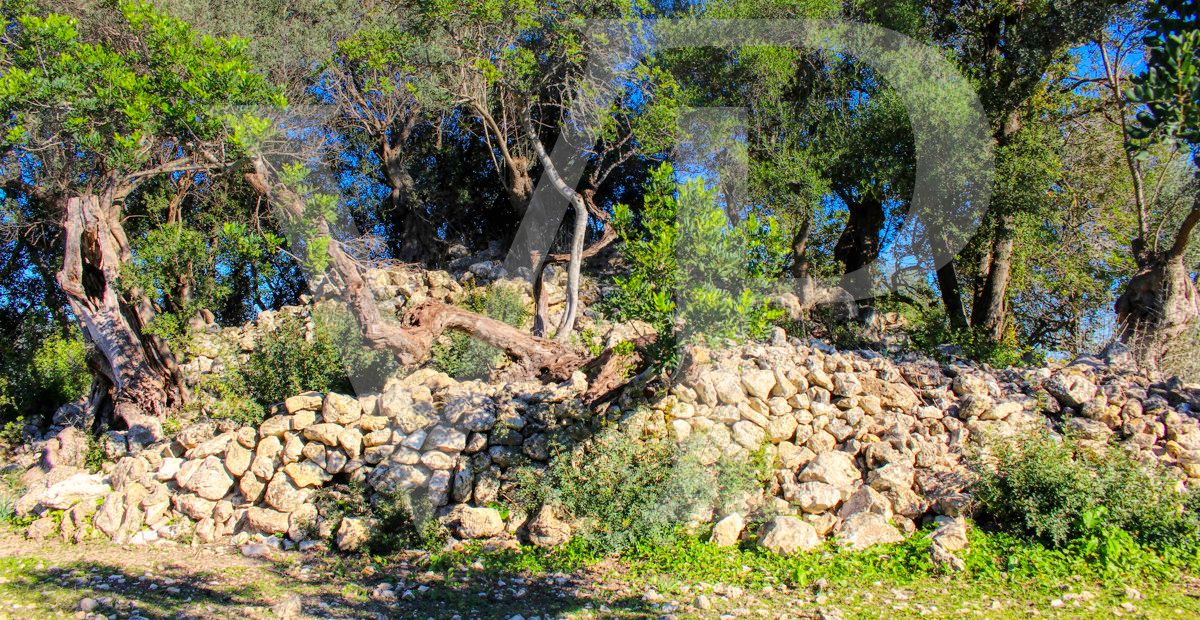 Spektakuläre Finca 40 Hektar mit Blick auf das Meer in Pollensa