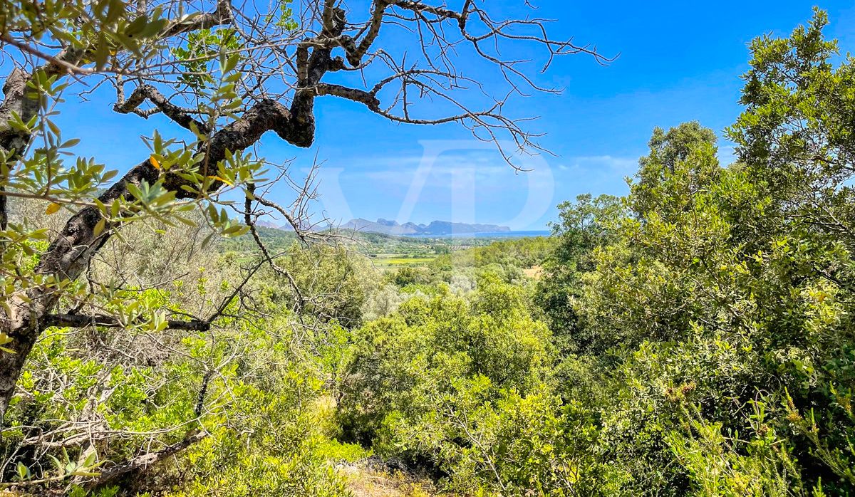Spektakuläre Finca 40 Hektar mit Blick auf das Meer in Pollensa