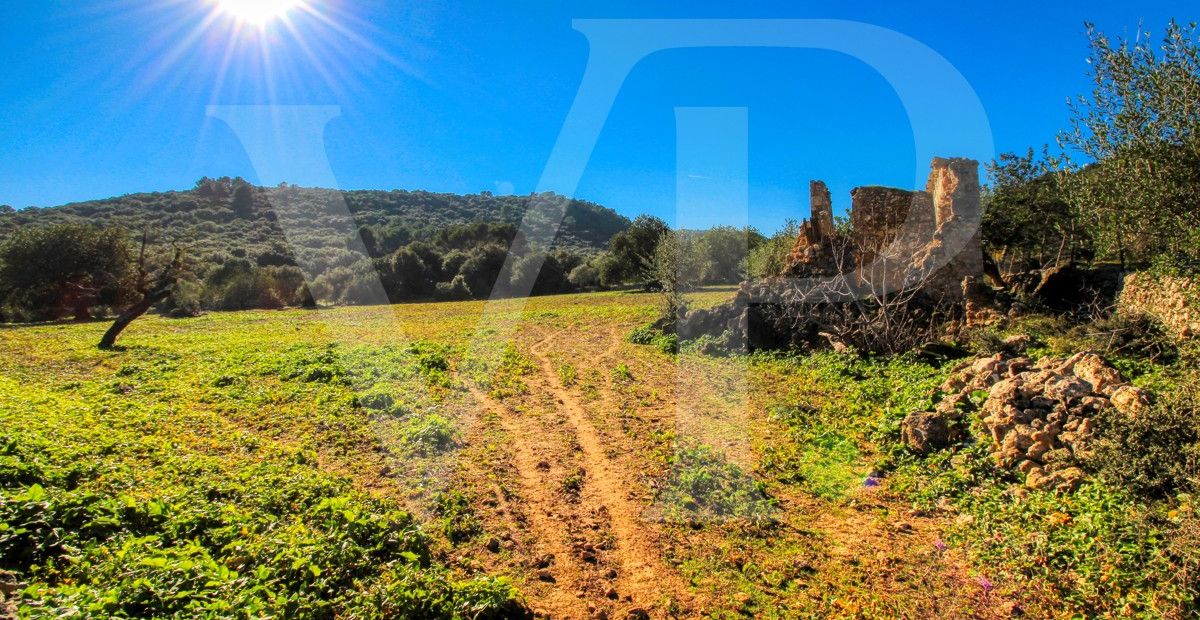 Spektakuläre Finca 40 Hektar mit Blick auf das Meer in Pollensa