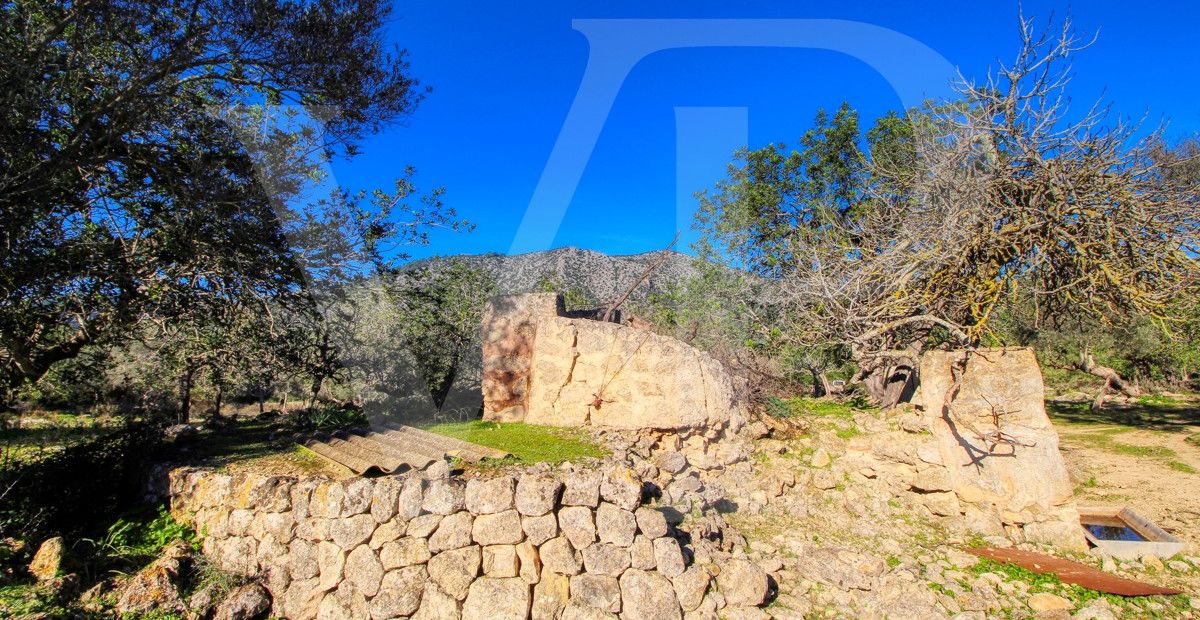 Spektakuläre Finca 40 Hektar mit Blick auf das Meer in Pollensa