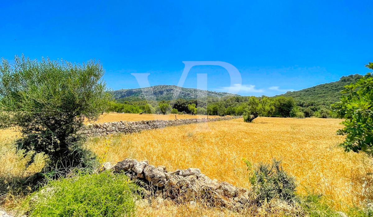 Spektakuläre Finca 40 Hektar mit Blick auf das Meer in Pollensa