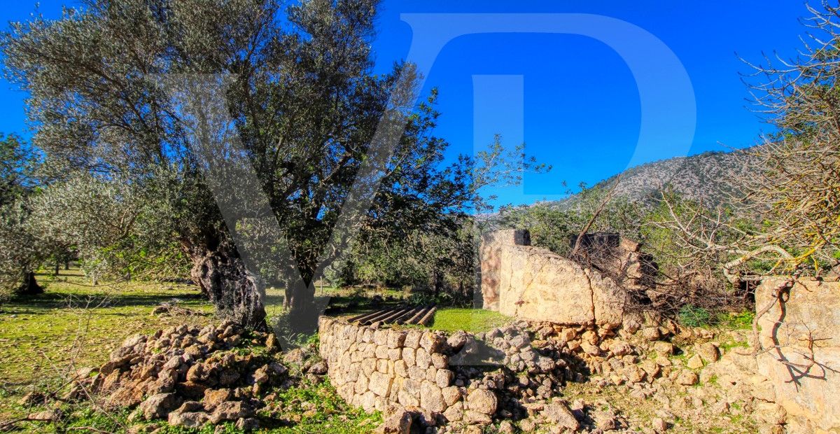 Spektakuläre Finca 40 Hektar mit Blick auf das Meer in Pollensa