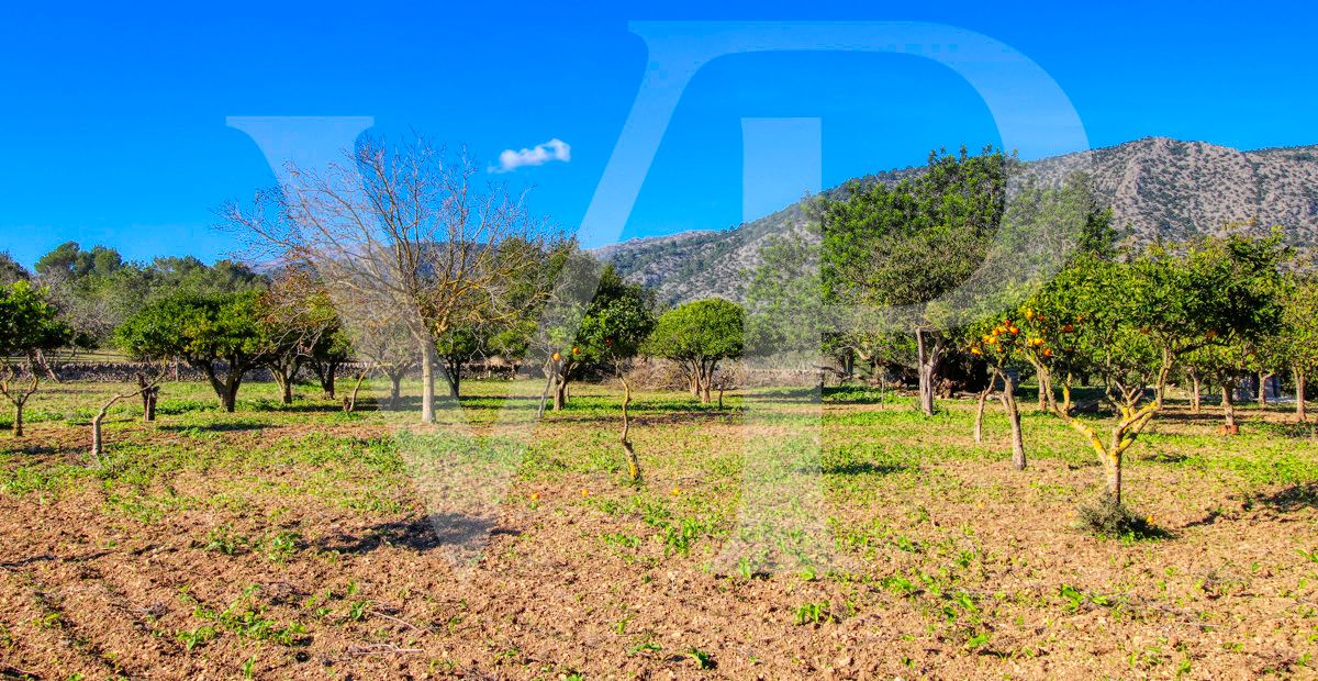 Spektakuläre Finca 40 Hektar mit Blick auf das Meer in Pollensa
