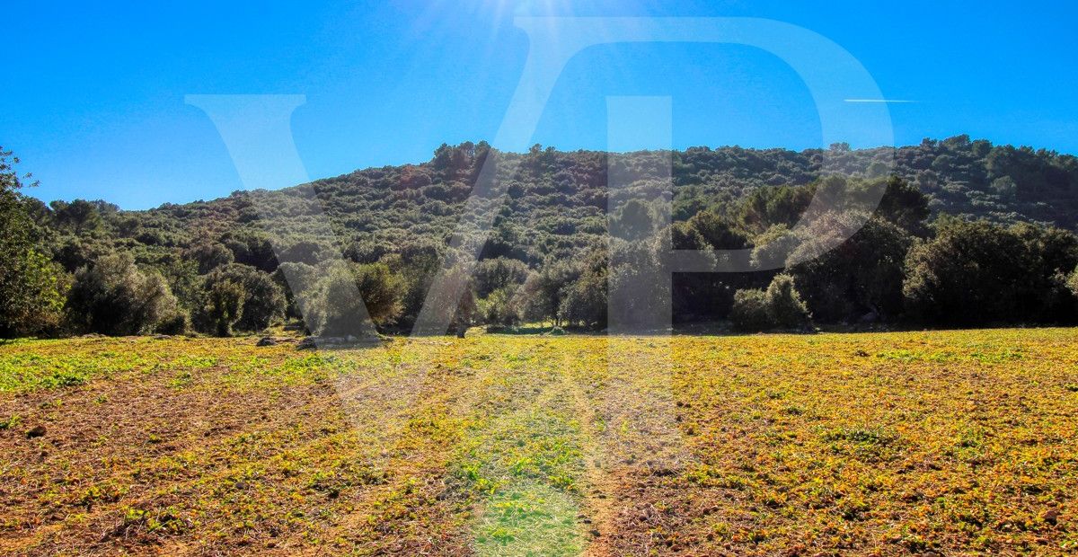 Spektakuläre Finca 40 Hektar mit Blick auf das Meer in Pollensa