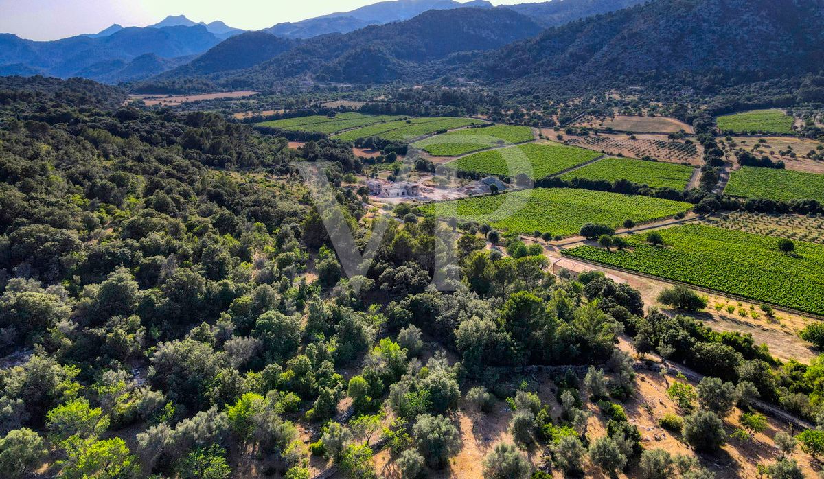 Spektakuläre Finca 40 Hektar mit Blick auf das Meer in Pollensa