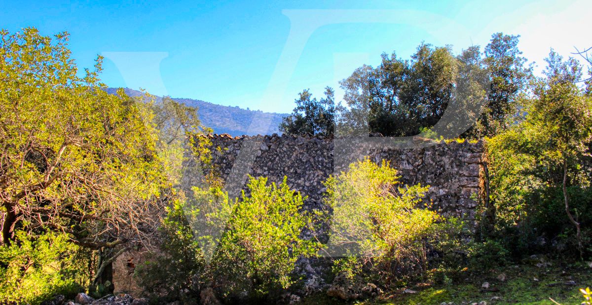 Spektakuläre Finca 40 Hektar mit Blick auf das Meer in Pollensa