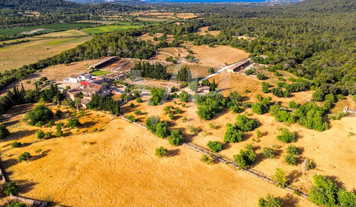 Spektakuläre Finca 40 Hektar mit Blick auf das Meer in Pollensa