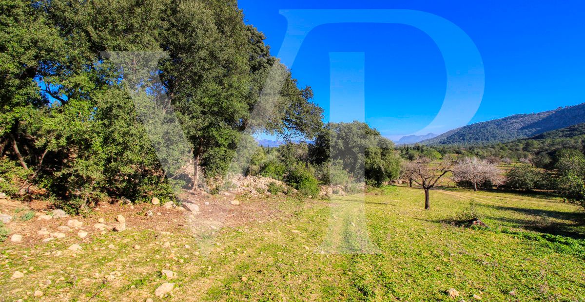 Spektakuläre Finca 40 Hektar mit Blick auf das Meer in Pollensa