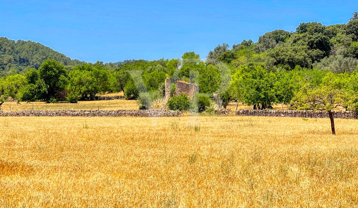 Spektakuläre Finca 40 Hektar mit Blick auf das Meer in Pollensa