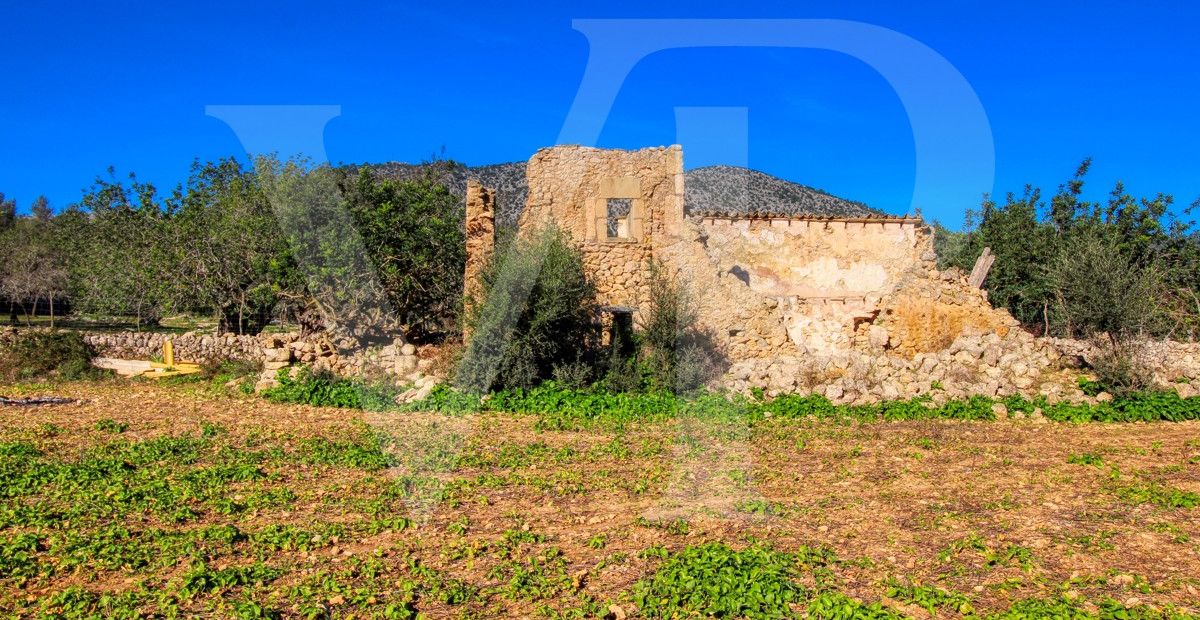 Spektakuläre Finca 40 Hektar mit Blick auf das Meer in Pollensa