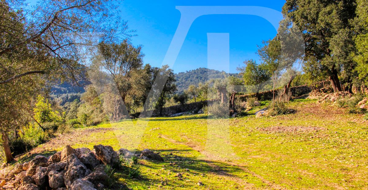 Spektakuläre Finca 40 Hektar mit Blick auf das Meer in Pollensa
