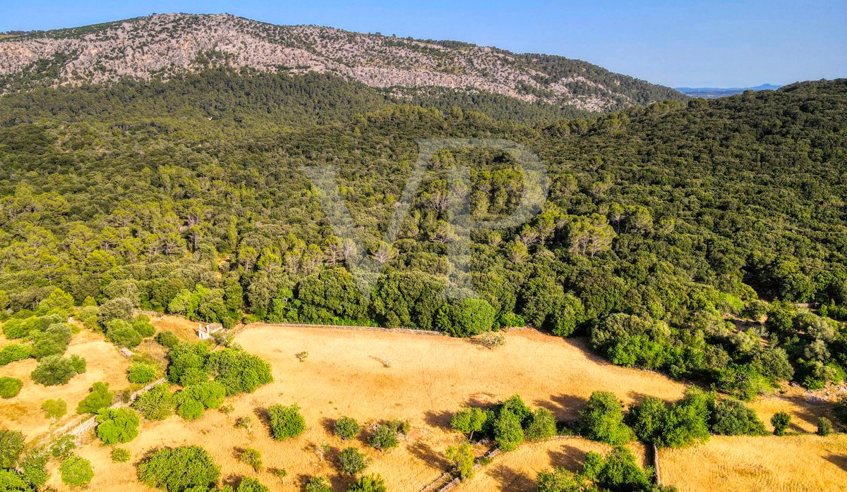 Spektakuläre Finca 40 Hektar mit Blick auf das Meer in Pollensa
