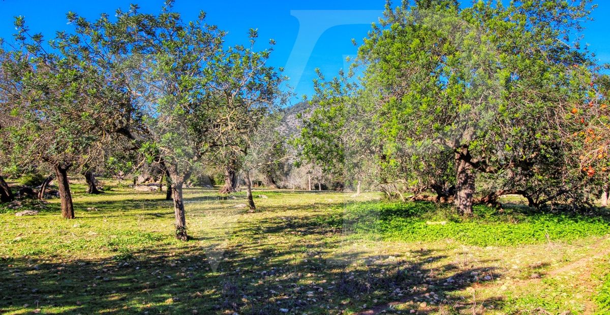 Spektakuläre Finca 40 Hektar mit Blick auf das Meer in Pollensa