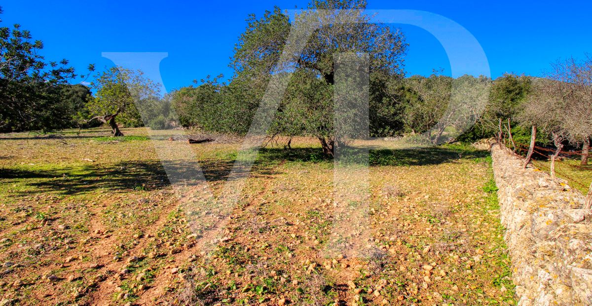 Spektakuläre Finca 40 Hektar mit Blick auf das Meer in Pollensa
