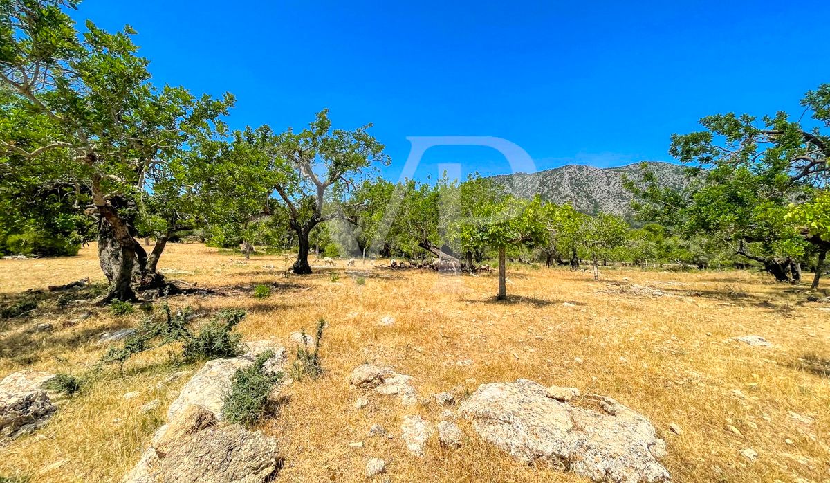 Spektakuläre Finca 40 Hektar mit Blick auf das Meer in Pollensa